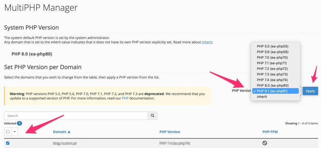 Escolher Domínio, Versão PHP 8.1 e clicar no botão apply